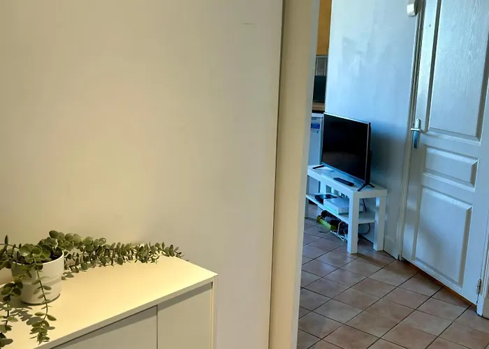Appartement Dans L'hyper-centre *